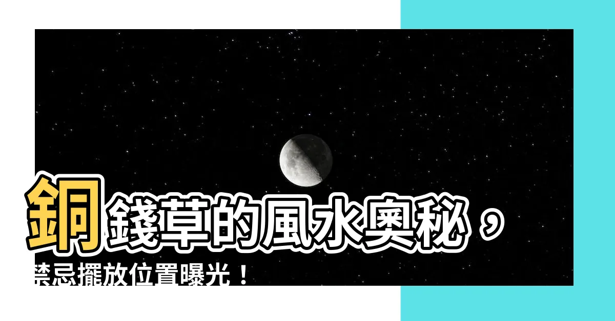 【銅錢樹風水】銅錢草的風水奧秘，禁忌擺放位置曝光！原創銅錢草驚豔風水佈局！