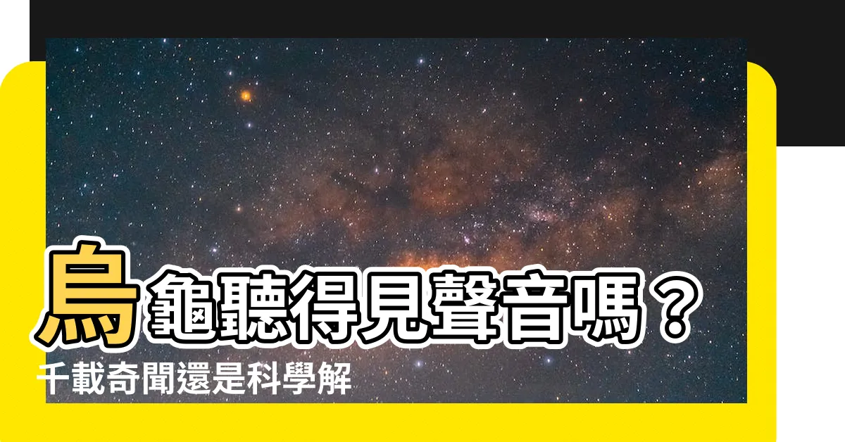 【烏龜聽得到嗎】烏龜聽得見聲音嗎？千載奇聞還是科學解答？