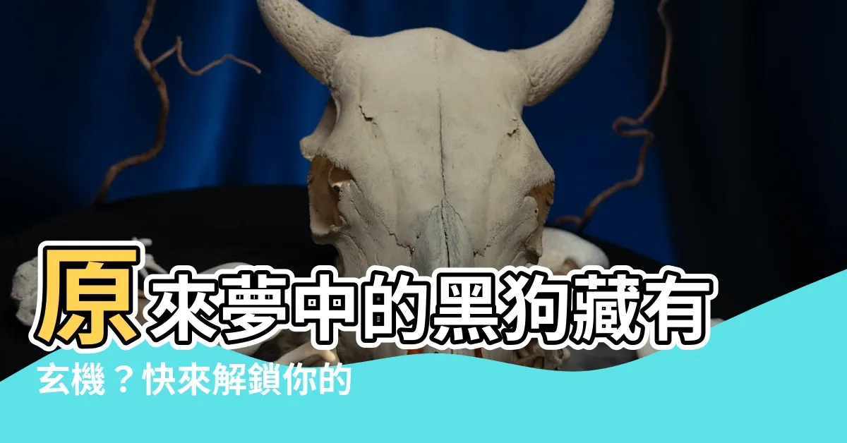 【黑狗號碼】原來夢中的黑狗藏有玄機？快來解鎖你的黑狗號碼！