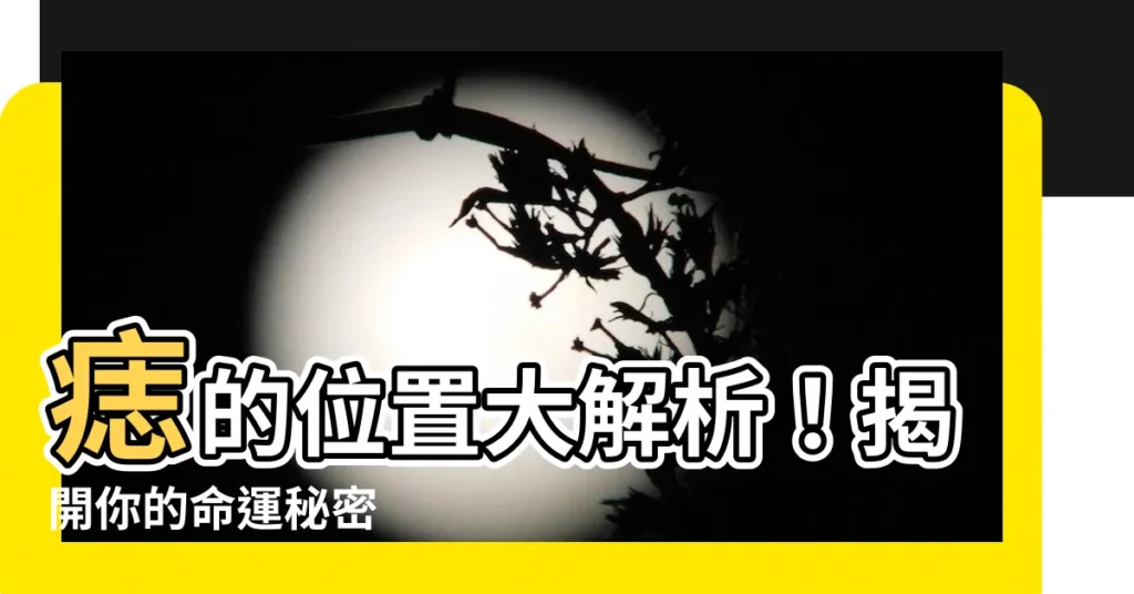 【痣 意思】痣的位置大解析！揭開你的命運秘密