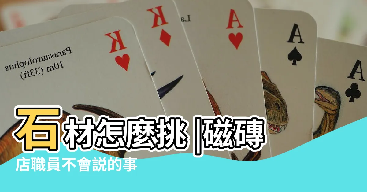 【磁磚材質】石材怎麼挑 |磁磚店職員不會説的事 |壁面材質百百種 |