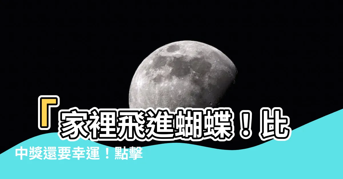 【家裡飛進蝴蝶】「家裡飛進蝴蝶！比中獎還要幸運！點擊查看驚人預兆！」