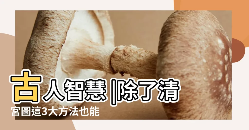 古人智慧 |除了清宮圖這3大方法也能生男生女 |幫你秒算胎兒性別 |【虛歲44哪月懷孕男孩機率大】
