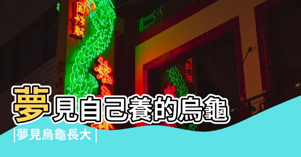 夢見自己養的烏龜 |夢見烏龜長大 |做夢夢見烏龜好不好 |【夢見養的烏龜長大了】