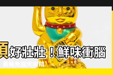【腦天】頭好壯壯！鮮味衝腦天：黑鮪魚腦天肉精選