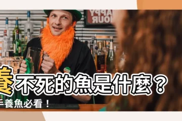 【最容易養的魚】養不死的魚是什麼？新手養魚必看！