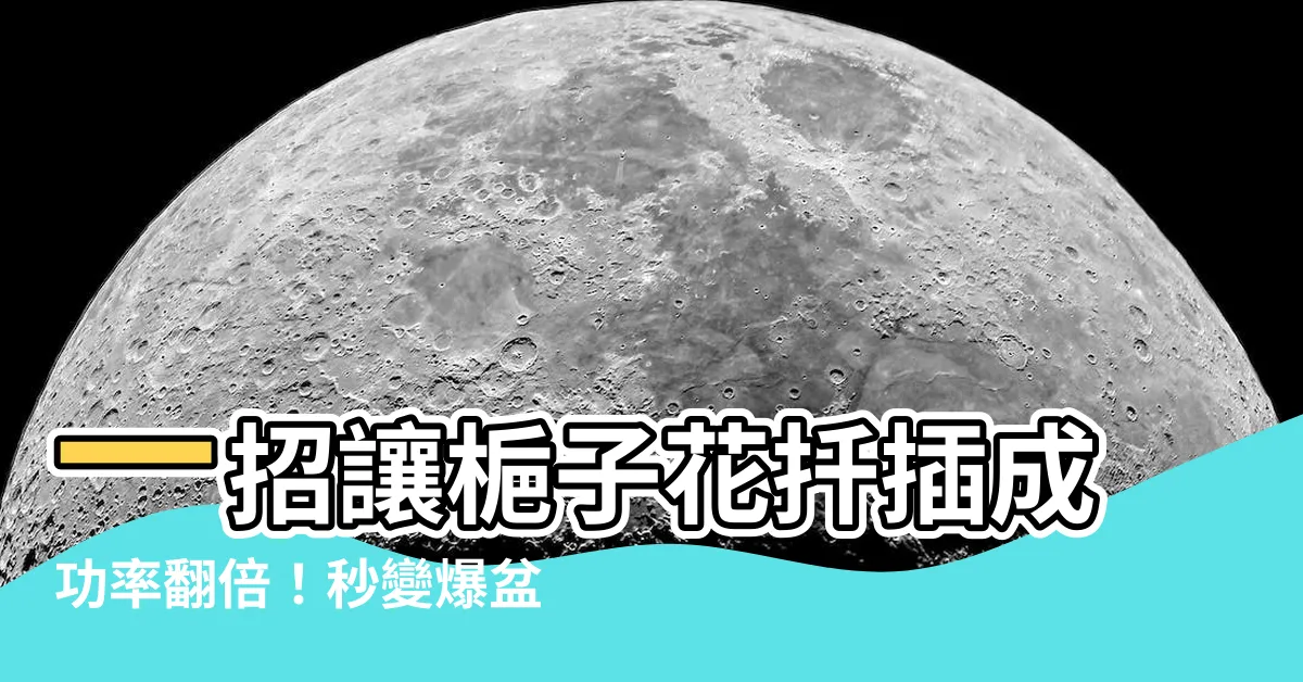【梔子花扦插】一招讓梔子花扦插成功率翻倍！秒變爆盆花海