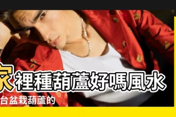 【家裏種的葫蘆怎麼處理】家裡種葫蘆好嗎風水 |陽台盆栽葫蘆的方法管理技術 |