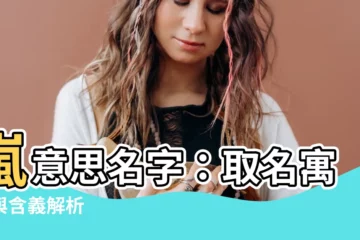 【嵐意思名字】嵐意思名字：取名寓意與含義解析