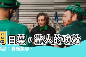 【明日葉的禁忌】明日葉，驚人的功效與禁忌：養顏美容、身體保健盡收囊中！