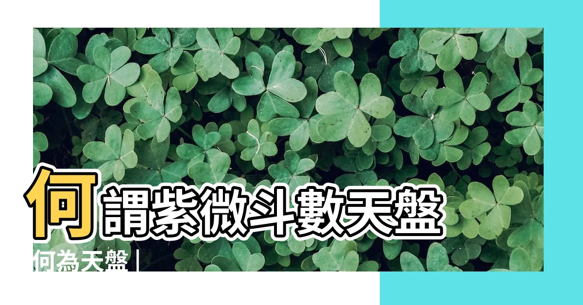 【天盤是什麼】何謂紫微斗數天盤 |何為天盤 |