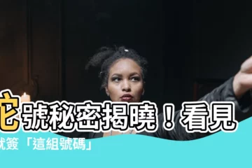 【看到蛇是幾號】蛇號秘密揭曉！看見蛇就簽「這組號碼」，彩金滾滾來！