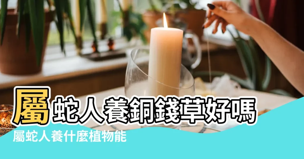 屬蛇人養銅錢草好嗎屬蛇人養什麼植物能增加財運 |銅錢草為什麼旺屬蛇人 |銅錢草什麼屬相不能養 |【屬蛇人和銅錢】