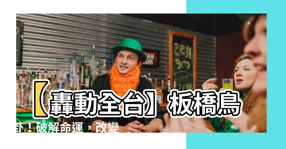 【板橋鳥卦】【轟動全台】板橋鳥卦！破解命運，改變人生的驚世秘辛震撼揭密！