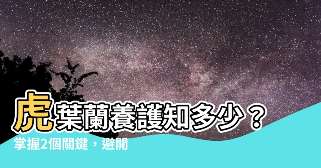【虎葉蘭】虎葉蘭養護知多少？掌握2個關鍵，避開錯誤養殖法！