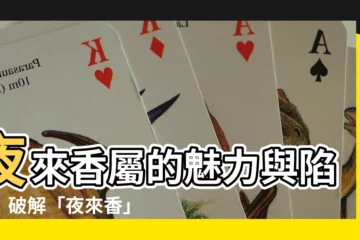 【夜來香屬】夜來香屬的魅力與陷阱：破解「夜來香」的真身！