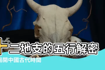 【十二地支的五行】十二地支的五行解密：揭開中國古代時間體系的奧秘