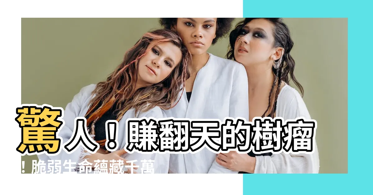 【樹瘤的價值】驚人！賺翻天的樹瘤！脆弱生命藴藏千萬財富！
