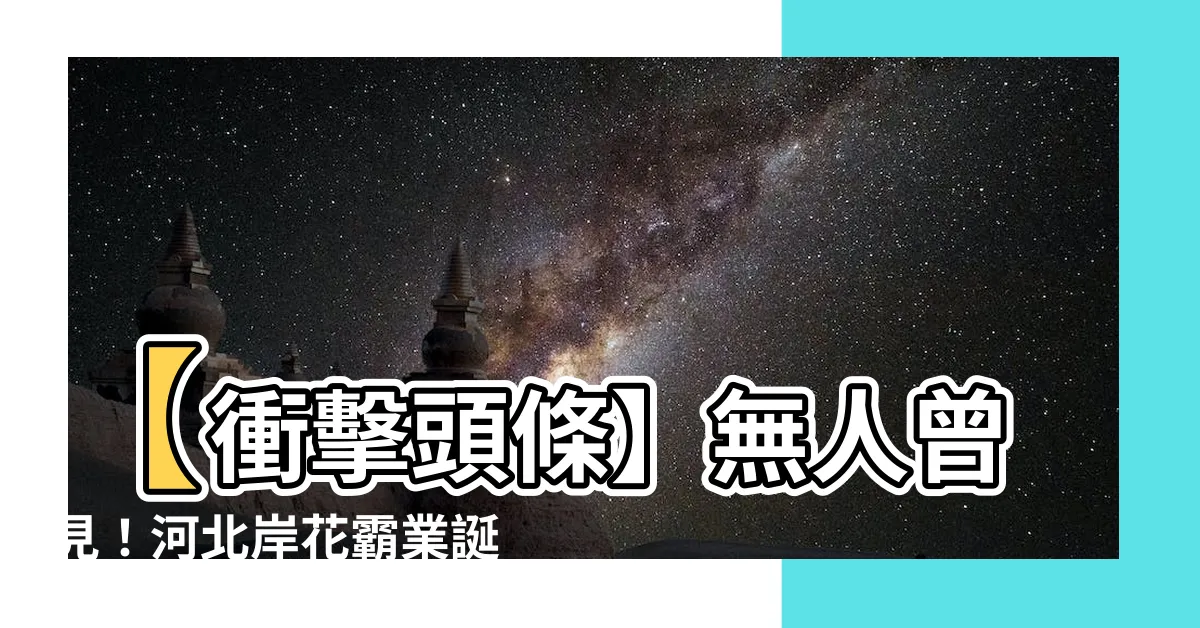【河北岸花】【衝擊頭條】無人曾見！河北岸花霸業誕生，彩繪浪潮席捲城市！