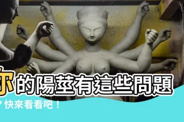 【陽莖】你的陽莖有這些問題嗎？快來看看吧！