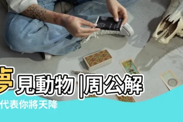 【夢見灰色馬咬窗户要進家】夢見動物 |周公解夢 |代表你將天降橫財財運福氣旺旺來 |