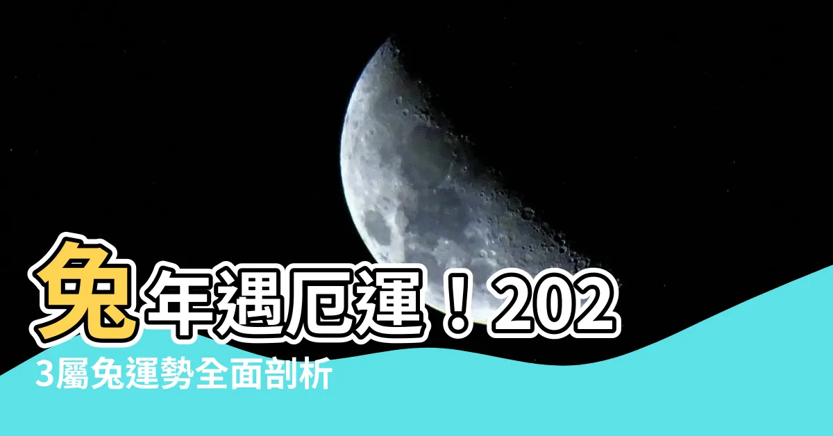 【2023屬兔】兔年遇厄運！2023屬兔運勢全面剖析：犯太歲恐血光之災