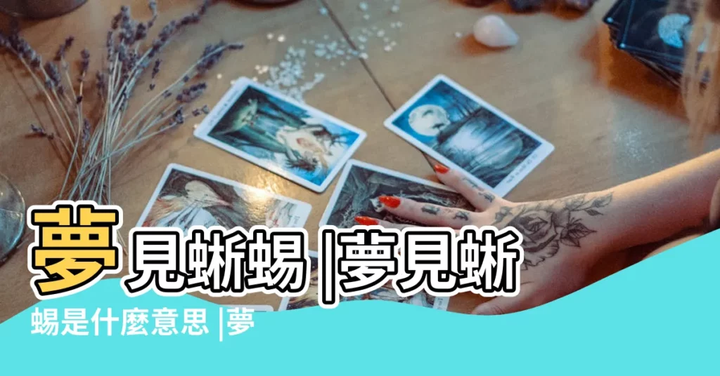 夢見蜥蜴 |夢見蜥蜴是什麼意思 |夢見大蜥蜴 |【夢見蜥蜴進房間】