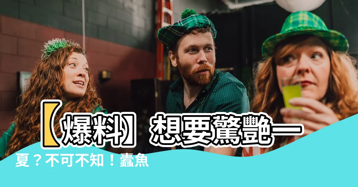 【蠹魚注音】【爆料】想要驚艷一夏？不可不知！蠹魚注音大揭密！