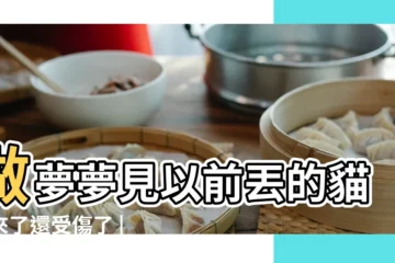 【孕婦做夢夢到丟的貓又回來了】做夢夢見以前丟的貓回來了還受傷了 |夢見貓回來了 |夢到丟的貓回來了是什麼意思 |