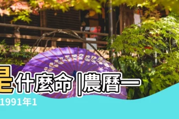 【1991年1月28日什麼命】是什麼命 |農曆一九 |1991年1月28日出生的人命好嗎 |