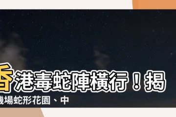 【香港毒蛇陣】香港毒蛇陣橫行！揭秘機場蛇形花園、中環繞道的風水邪局