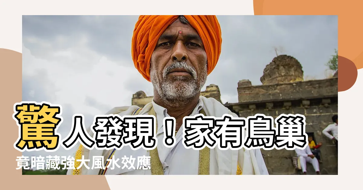 【家有鳥巢風水】驚人發現！家有鳥巢竟暗藏強大風水效應！