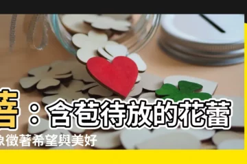 【蓓的意思】蓓：含苞待放的花蕾，象徵著希望與美好！