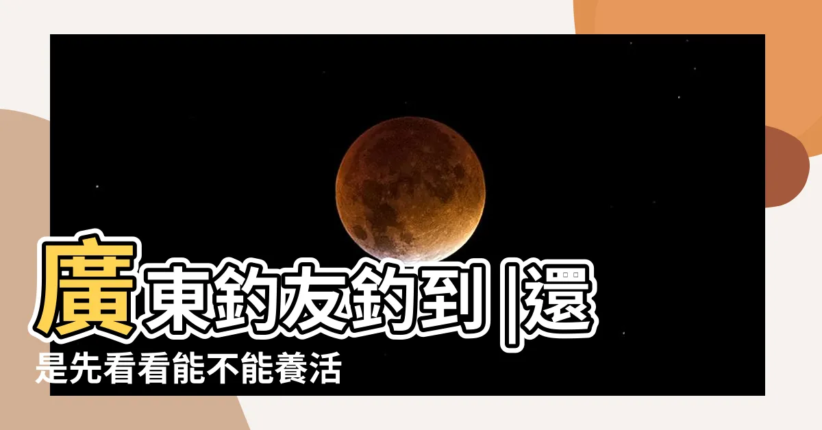 【黑色鯉魚】廣東釣友釣到 |還是先看看能不能養活再説吧 |黑色錦鯉魚為什麼不能養 |