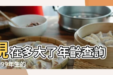 【1999年出生2020年多大】現在多大了年齡查詢 |1999年生的2020年多大 |99年到2020年是多少歲 |