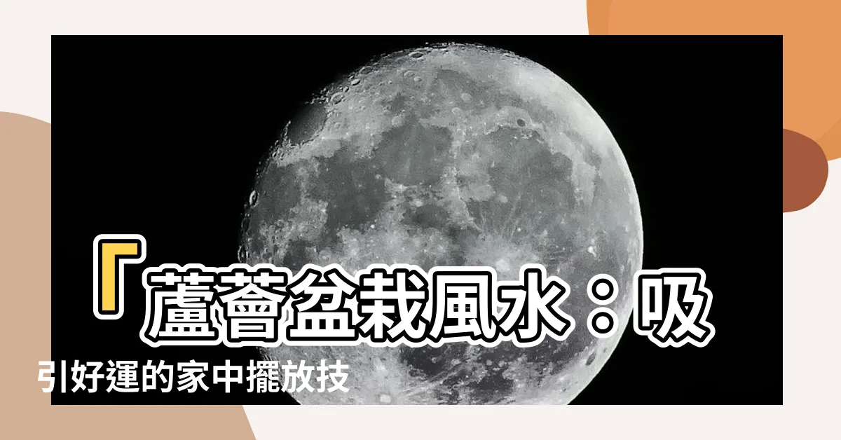 【蘆薈盆栽風水】「蘆薈盆栽風水：吸引好運的家中擺放技巧！」