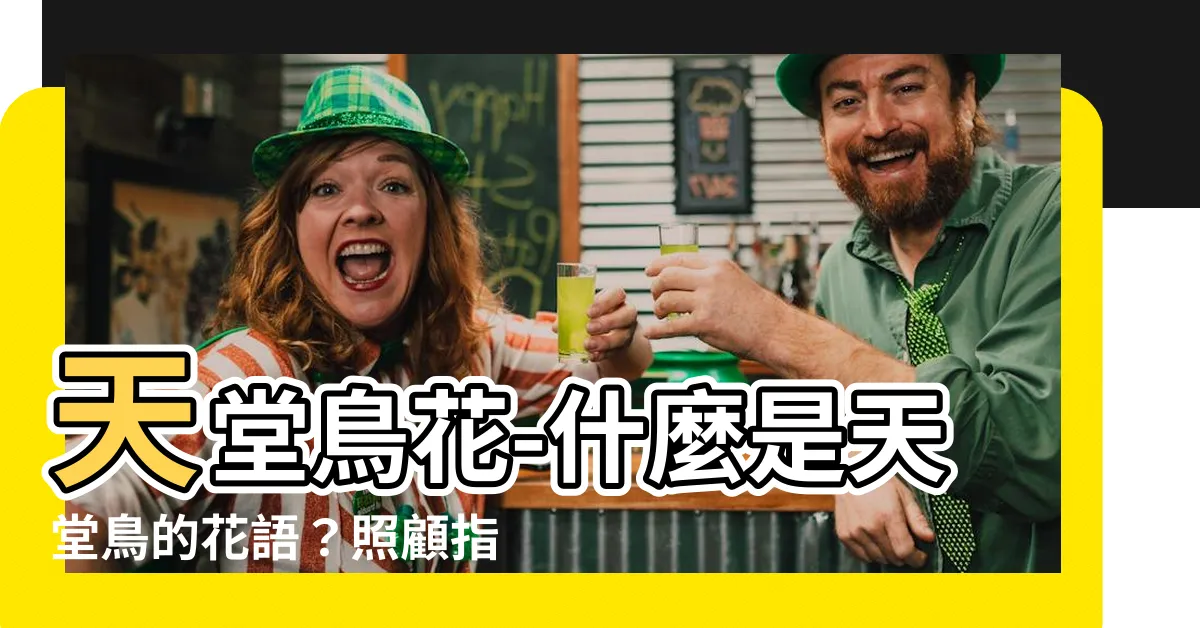 【天堂鳥花】天堂鳥花-什麼是天堂鳥的花語？照顧指南與風水擺放建議