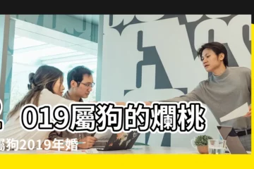【1982年屬狗的2019年桃花運】2019屬狗的爛桃花屬狗2019年婚姻如何 |屬狗人的正緣在哪一年 |屬狗人2019年度運勢 |