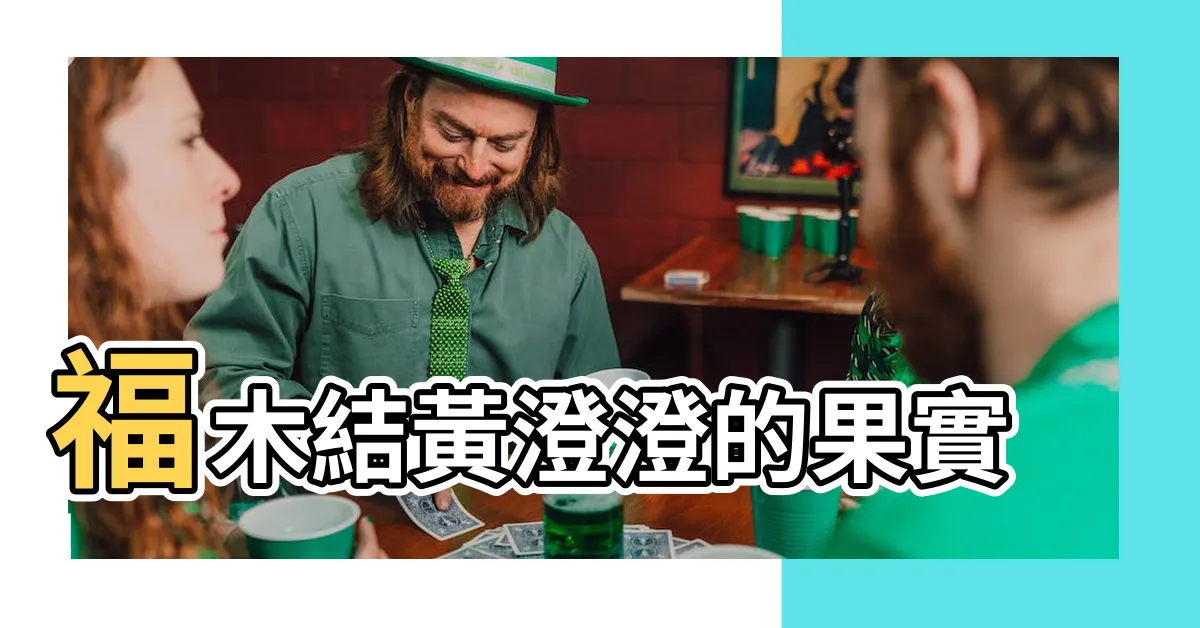 【福木果實季節】福木結黃澄澄的果實 |