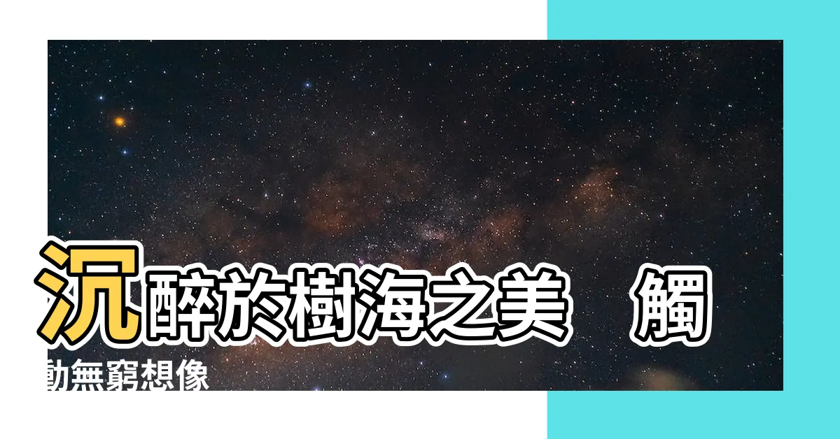【看樹】沉醉於樹海之美　觸動無窮想像