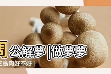 【夢見鳥吃食周公解夢】周公解夢 |做夢夢見吃鳥肉好不好 |夢見小鳥吃食 |