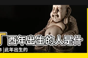 【丁酉年出生富貴八字】丁酉年出生的人是什麼命 |此年出生的富貴好八字是怎樣的呢的 |丁酉年生人富貴好八字 |