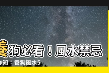 【養狗風水】養狗必看！風水禁忌報你知：養狗風水5大NG