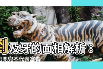 【倒及牙 面相】倒及牙的面相解析：下巴兜兜不代表富貴