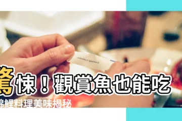 【錦鯉可以吃嗎】驚悚！觀賞魚也能吃？錦鯉料理美味揭秘，挑戰你對美食的認知