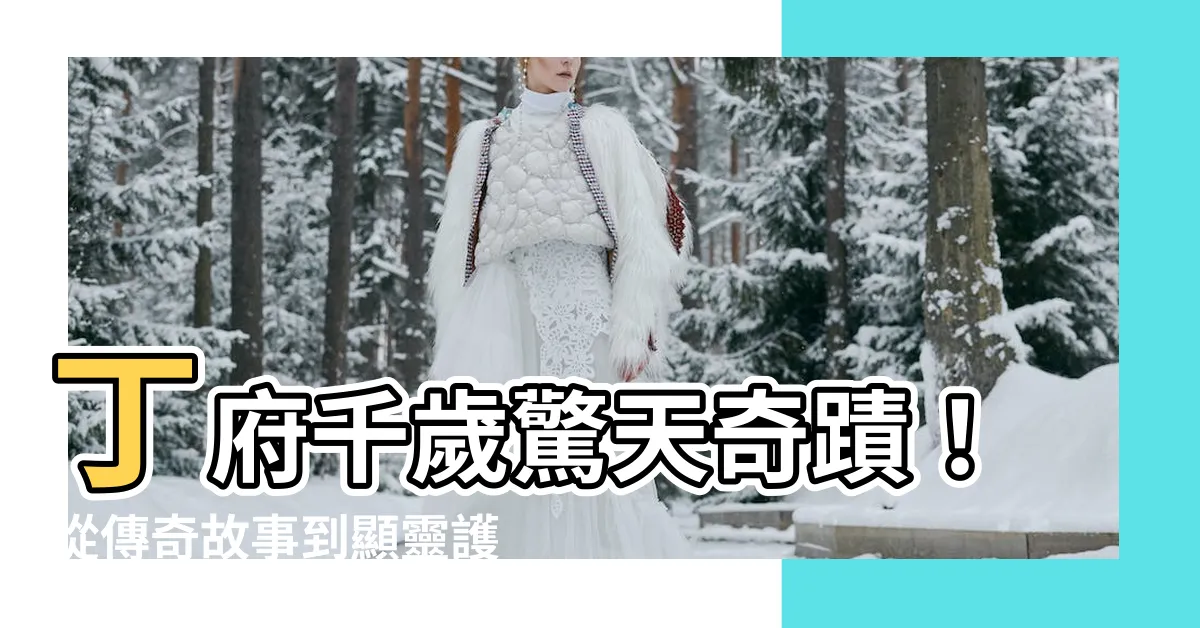 【丁府千歲】丁府千歲驚天奇蹟！從傳奇故事到顯靈護民的守護神