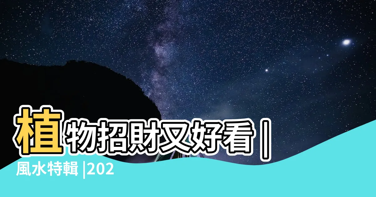 【招財位】植物招財又好看 |風水特輯 |2024居家風水財位放什麼 |