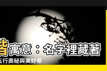 【楷寓意】楷寓意：名字裡藏著的五行奧秘與美好希冀