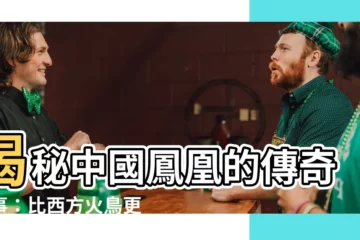 【中國鳳凰】揭秘中國鳳凰的傳奇故事：比西方火鳥更加神秘
