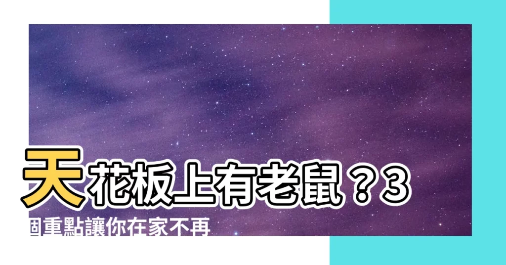 【天花板上有老鼠】天花板上有老鼠？3個重點讓你在家不再與鼠為鄰！